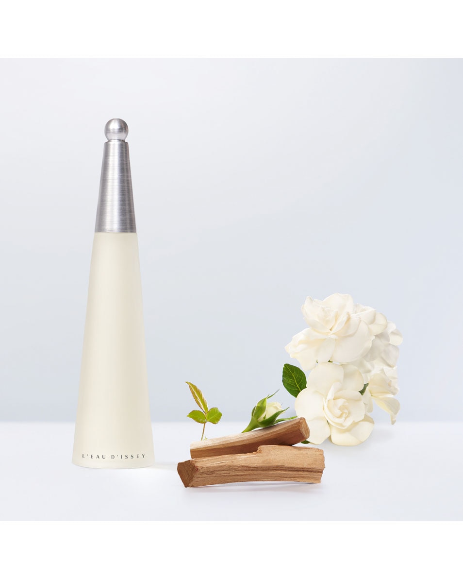 ISSEY MIYAKE L'EAU D'ISSEY EAU DE TOILETTE SPRAY 50 ML 2