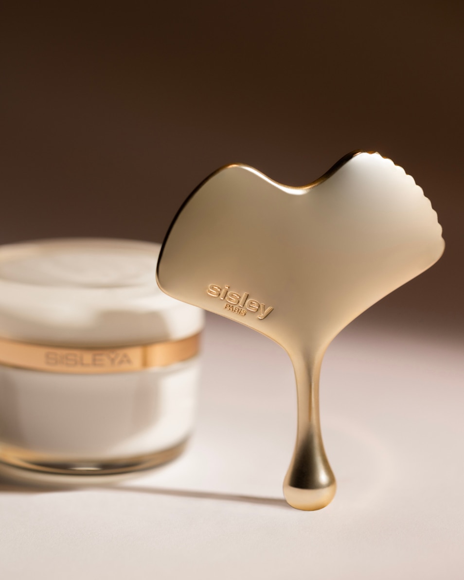 IDEALE VOOR ANTIVEROUDERINGSRITUEEL