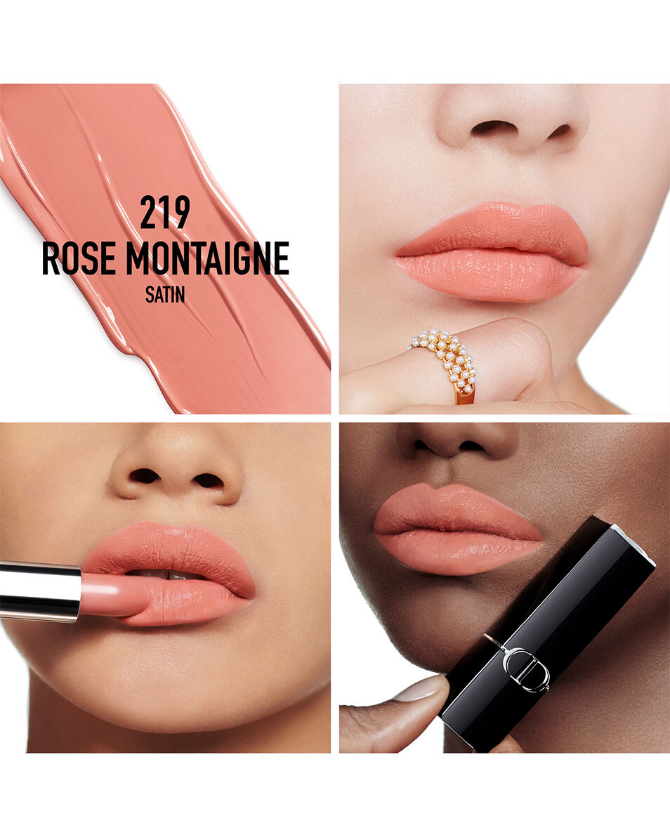 DIOR Rouge Dior Rouge à lèvres - confort et longue tenue SATIN - 219 ROSE MONTAIGNE 2
