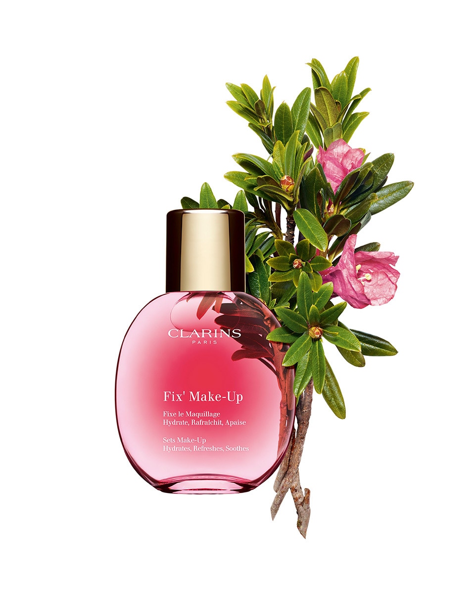 CLARINS Fix' Make-Up Sets make-up 50 ML 2