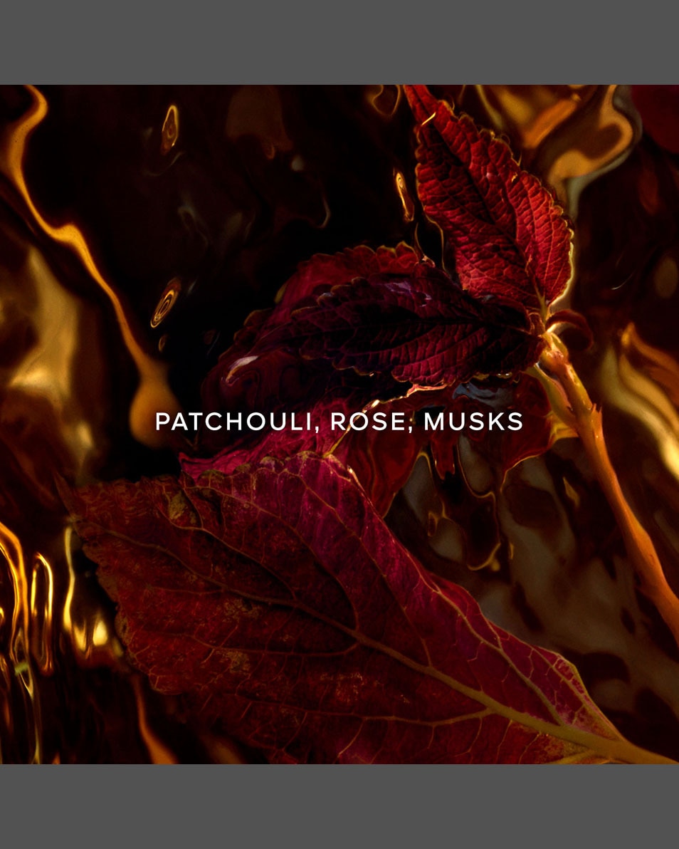 Absolus Allegoria Patchouli Ardent Eau de Parfum