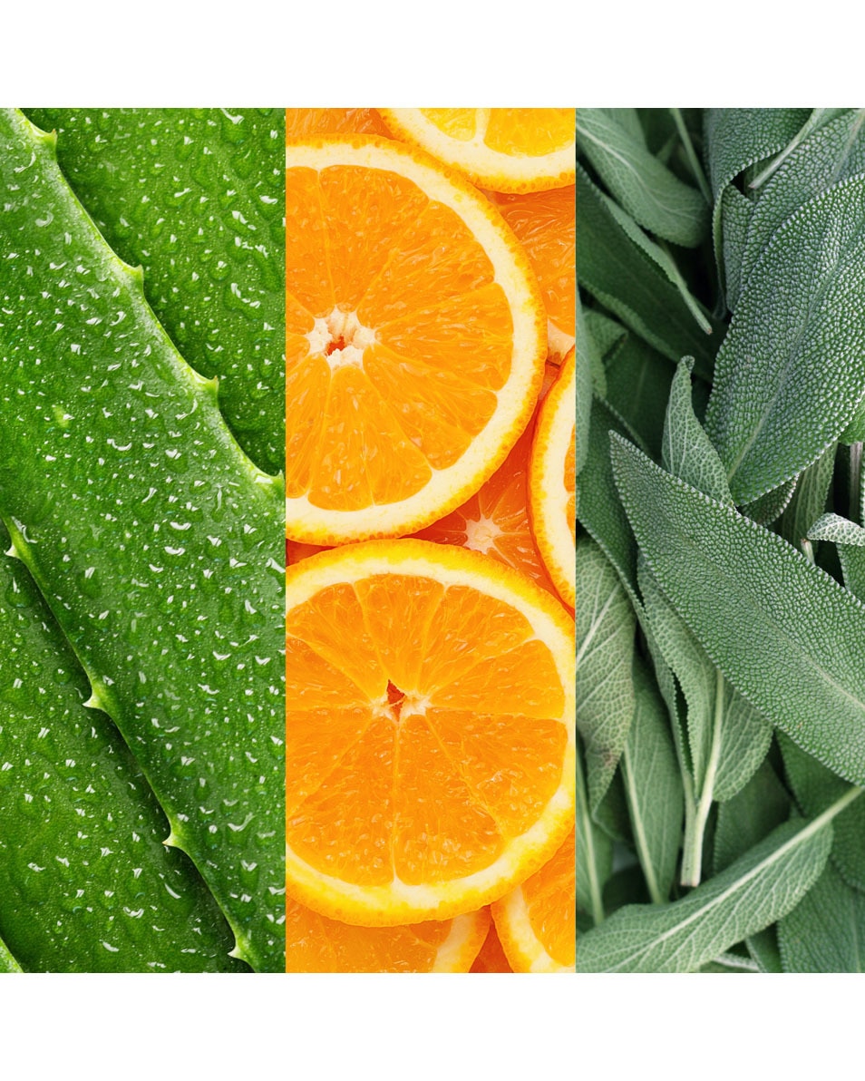 MARIO BADESCU Facial Spray GEZICHTSSPRAY MET ALOË, SALIE EN SINAASAPPELBLOESEM 59ML 236 ML 2