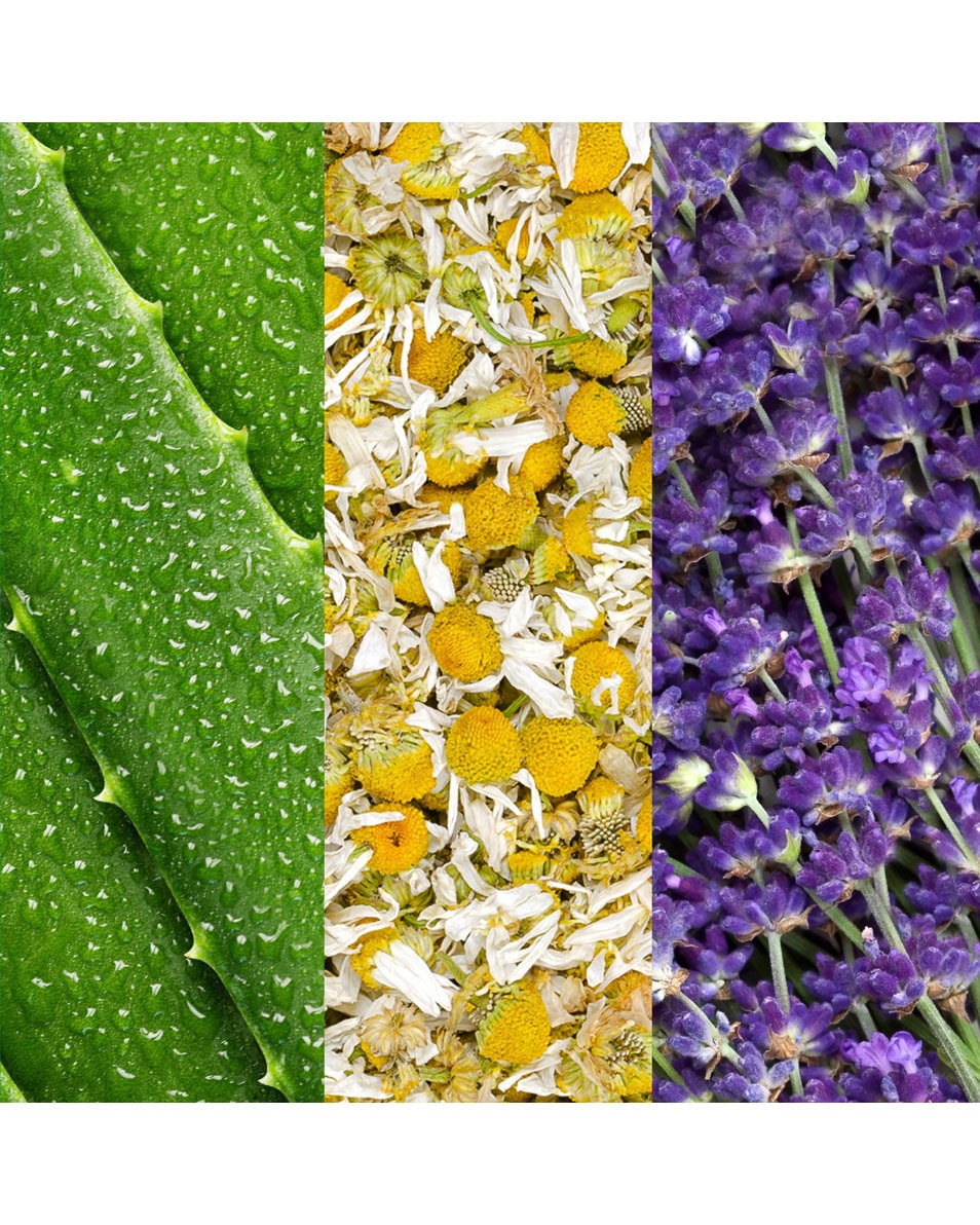 MARIO BADESCU Facial Spray GEZICHTSSPRAY MET ALOË, KAMILLE EN LAVENDEL 59ML 59 ML 2