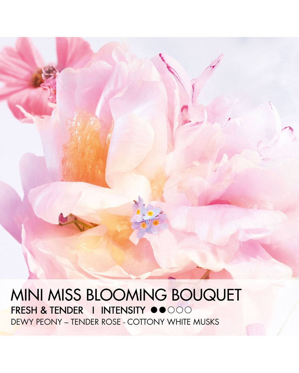 DIOR Miss Dior Blooming Bouquet - Mini Miss Solid Perfume Parfum en stick sans alcool - notes fraîches et tendres 3,2 G 2