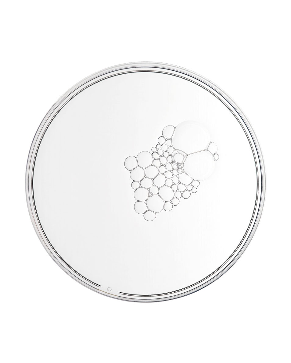 Essence Multi-Active