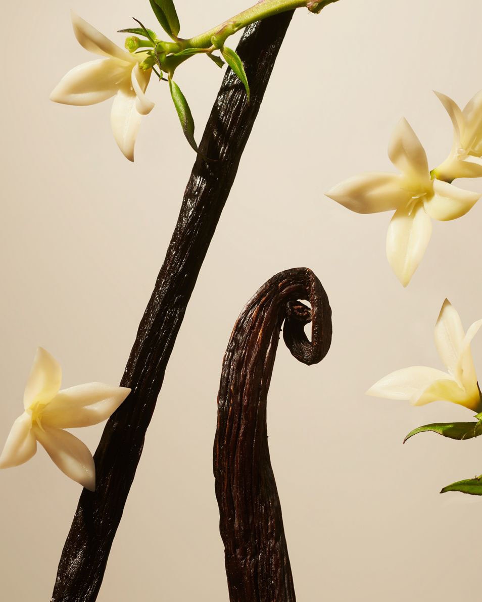 Suede Vanilla parfum d’intérieur