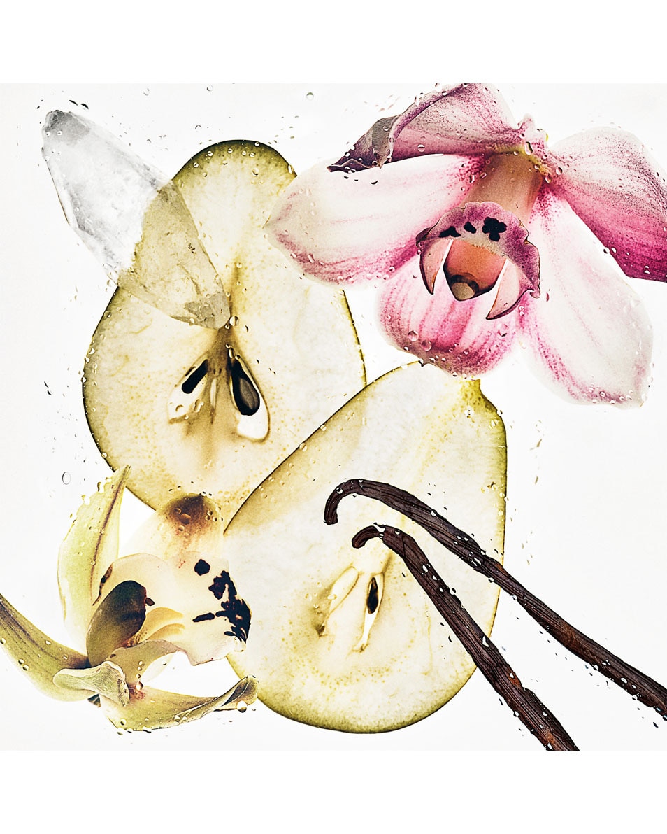 CALVIN KLEIN CK Nude Vanilla Hair & body perfume mist 236 ML 2