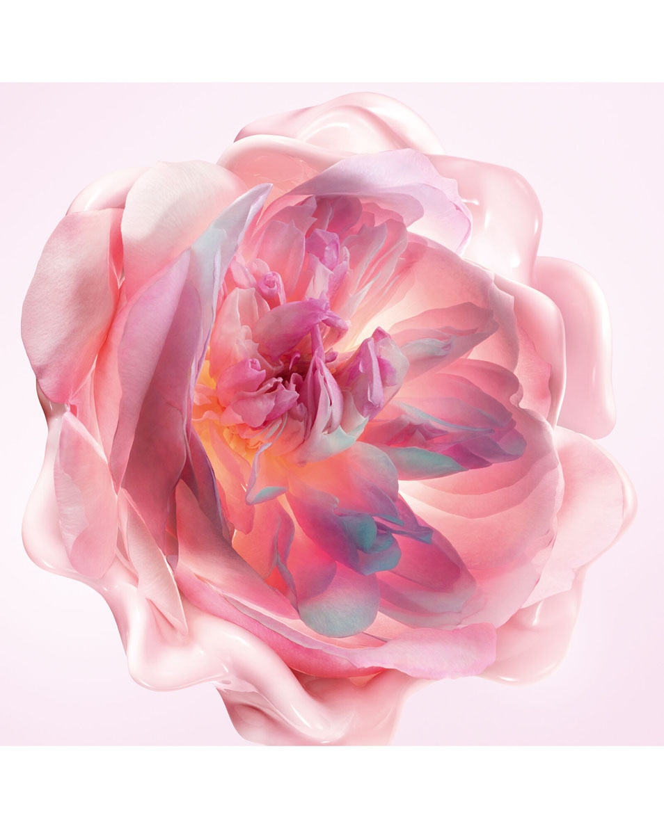 DIOR Miss Dior Melt-In Hand Cream Geparfumeerde hydraterende handcrème 50 ML