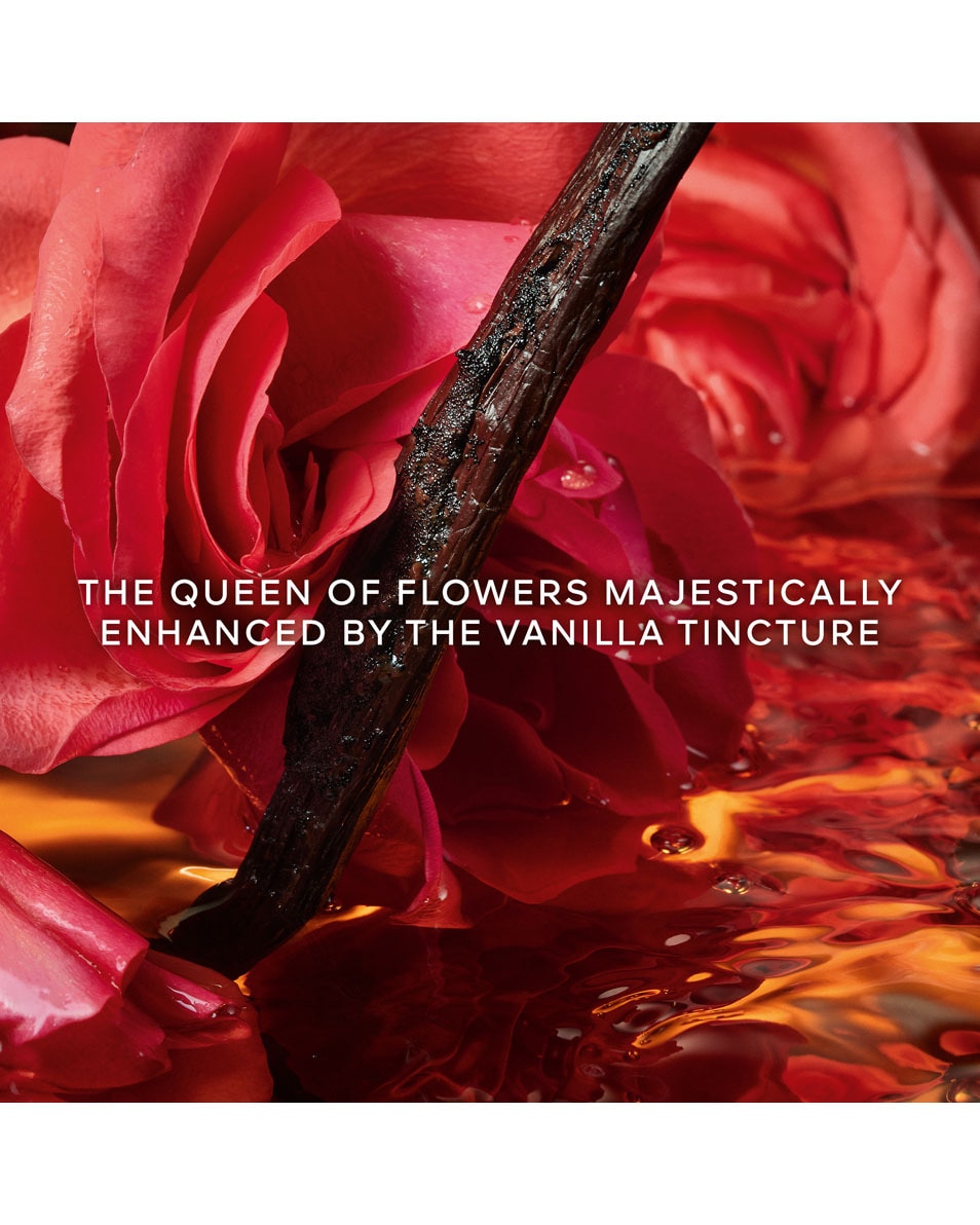 GUERLAIN SHALIMAR Millésime Rose Eau de Parfum – Édition Limitée 50 ML 2