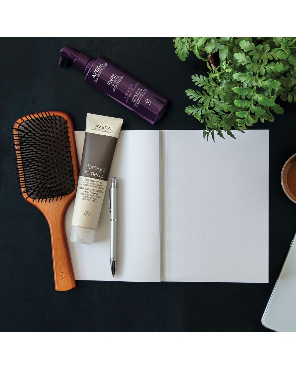 AVEDA Wooden Paddle Brush Brosse plate professionnelle 1 ST 2