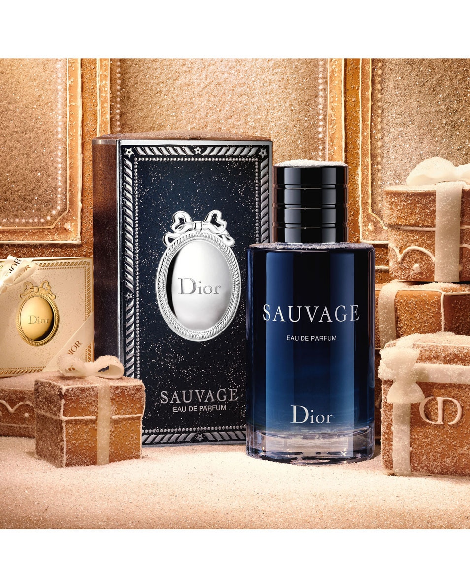 DIOR Sauvage Eau de Parfum - Limited Edition Men's Fragrance Herenparfum - Kruiden & vanille-absolue 100 ML