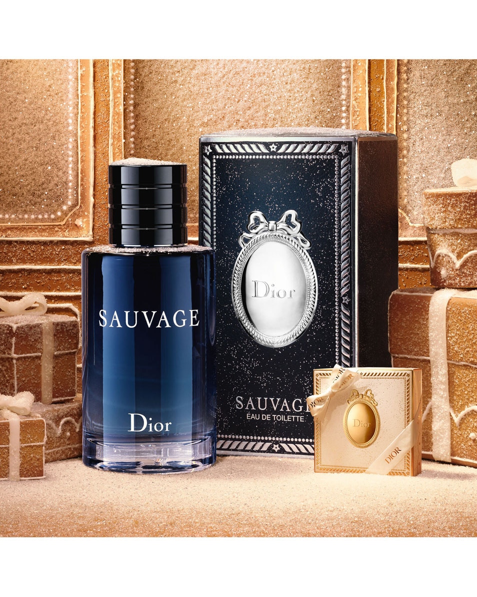 DIOR Sauvage Eau de Toilette - Limited Edition Men's Fragrance Herenparfum - Kruidige & hesperide noten 100 ML