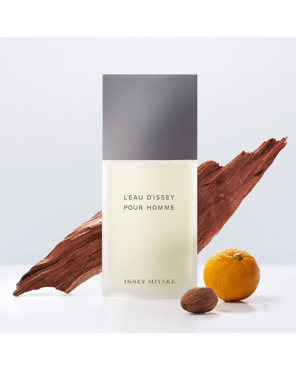 ISSEY MIYAKE L'EAU D'ISSEY POUR HOMME EAU DE TOILETTE SPRAY 200 ML 2