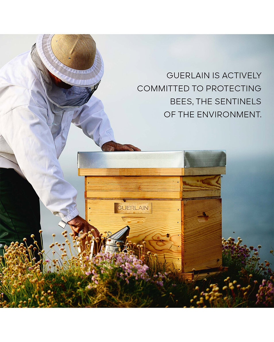 GUERLAIN ABAILLE ROYALE DAILY REPAIR SERUM 50 ML 2