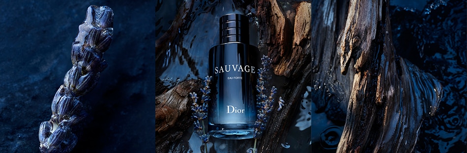 Dior sauvage