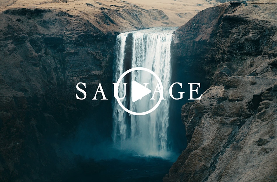 Dior Sauvage